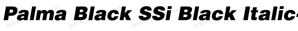 Palma Black SSi Black Italic字体转换